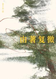 由著复微见佳音txt