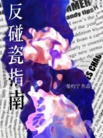 反碰瓷指南TXT全本
