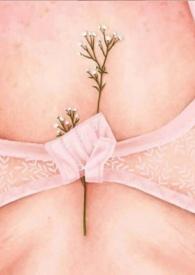 多么甜txt百度提取码