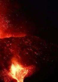 心火父女高H免费阅读