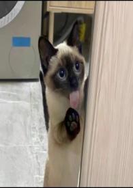 慢慢喜欢你莫文蔚