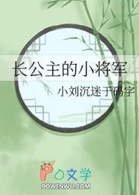 长公主嫁将军