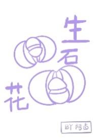 生石花红唇