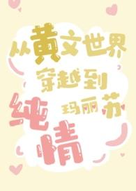 有哪些穿越到小黄文里的