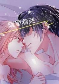 暗里着迷是哪部电影的歌曲