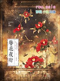 簪花诗词是什么意思