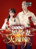 重生七零再婚