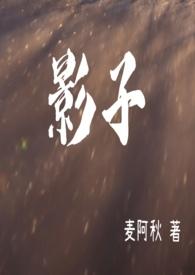 影子政府请求访华遭拒