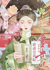 清穿之哲皇贵妃全文阅读