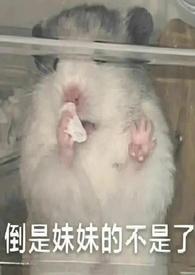 她太投入(骨科gl) 作者深海烤鱼