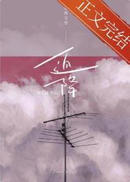 迫降免费阅读番外