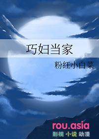 巧妇当家TXT百度