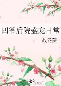 四爷后院盛宠日常TXT