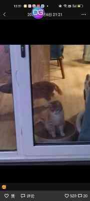 好友曝张雪峰遗容状态