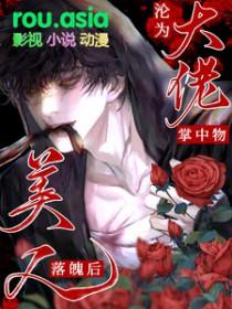 美人落魄后沦为大佬掌中物by青梅酒窖子公和替身