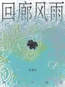 回廊风雨全文阅读