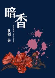 暗香(舅甥1v1)类似