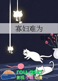 海贼王同人寡妇难为