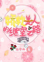 娇软美人讲什么