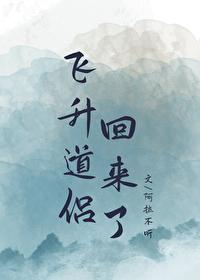 飞升之后百科