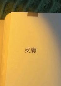 皮囊75