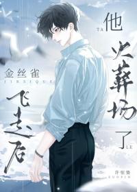 养了八年的金丝雀飞走啦简介