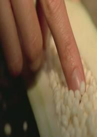 她是踏碎星河落入我梦境是什么歌