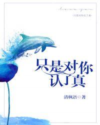 只是对你认了真大结局