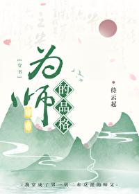 为师的完全体
