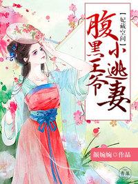 腹黑王爷小逃妻 颜婉婉
