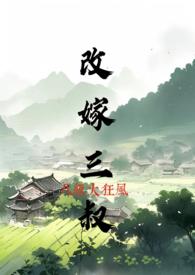 改嫁三叔完整txt