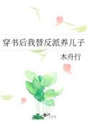 穿书后我替反派养儿子作者木舟行