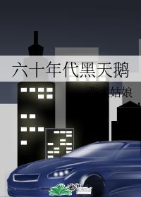 六十年代黑天鹅321