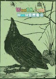 空壳飞机是哪个国家