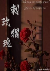 刺猬与玫瑰歌词