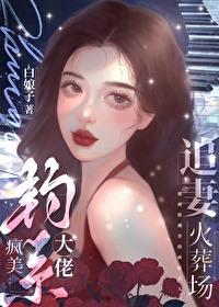 疯美钓系大佬追妻火葬场免费阅读全