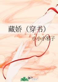 藏娇穿书全文阅读免费无弹窗