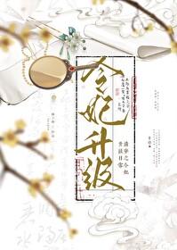 清穿之令贵妃晋升记