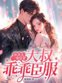 大叔的小夫人