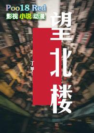 望北楼by丁甲笔趣阁txt