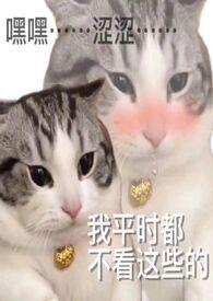 炉甘石有啥用