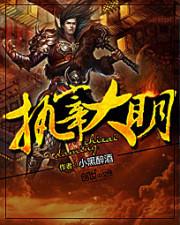 执宰大明朱元青在线阅读