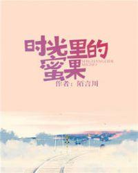 时光里的蜜果讲了什么