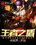王者里面的盾是什么