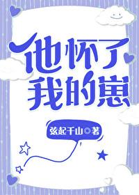 他怀了我的孩子全文