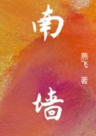 南墙是用来比喻什么