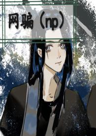 网骗之王全文免费阅读