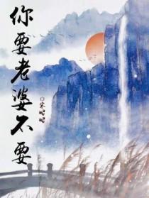 你要老婆不要by宋昭昭