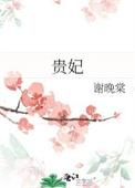 贵妃图录