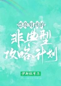 漂亮男孩非典型攻略计划结局